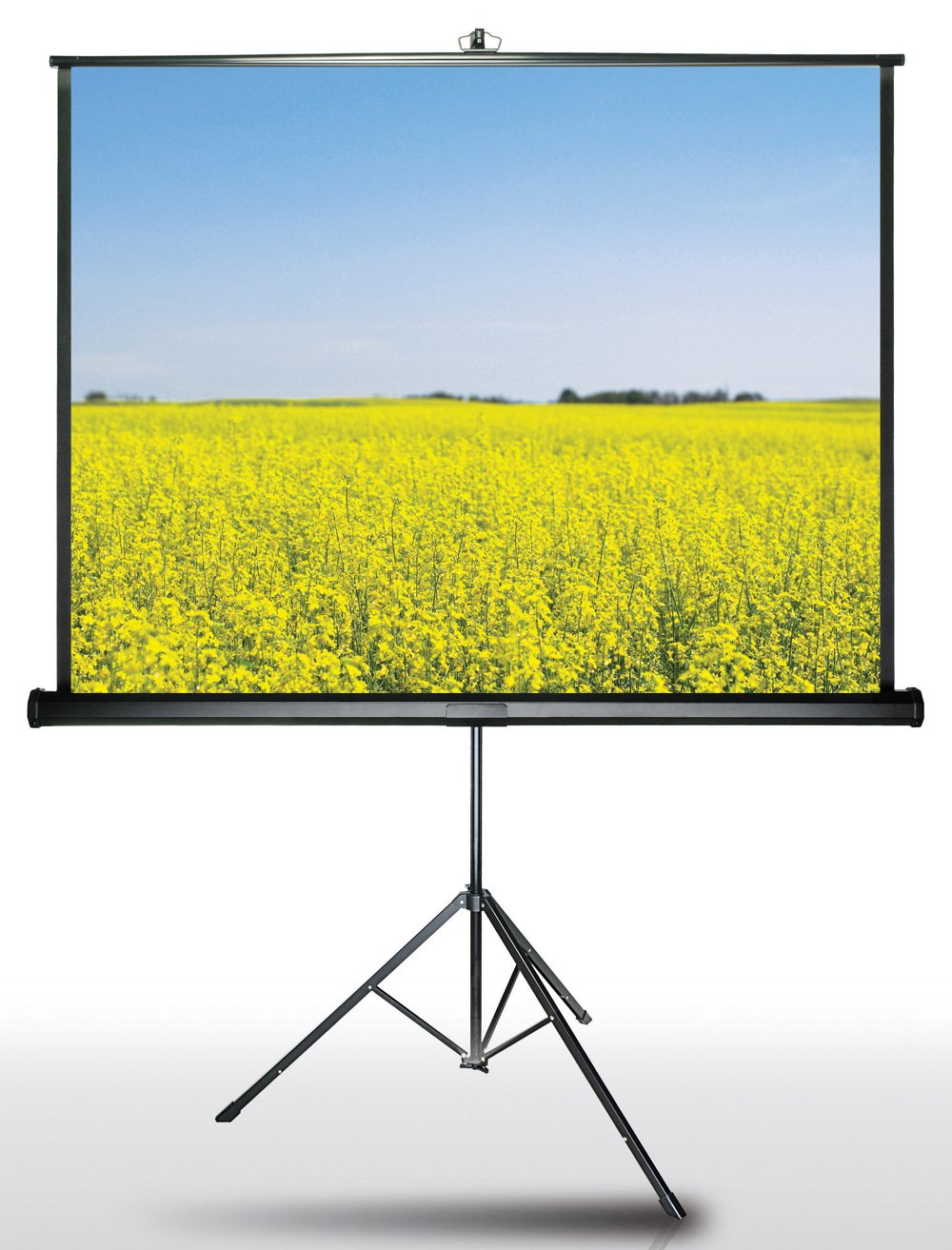 Màn chiếu 3 chân 1.78M x 1.78M - 70